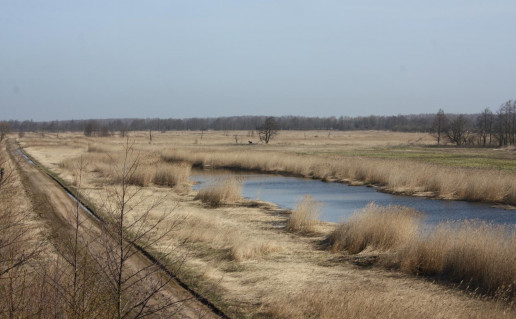 21_Tulkiarag+s pa+ininis takas.jpg